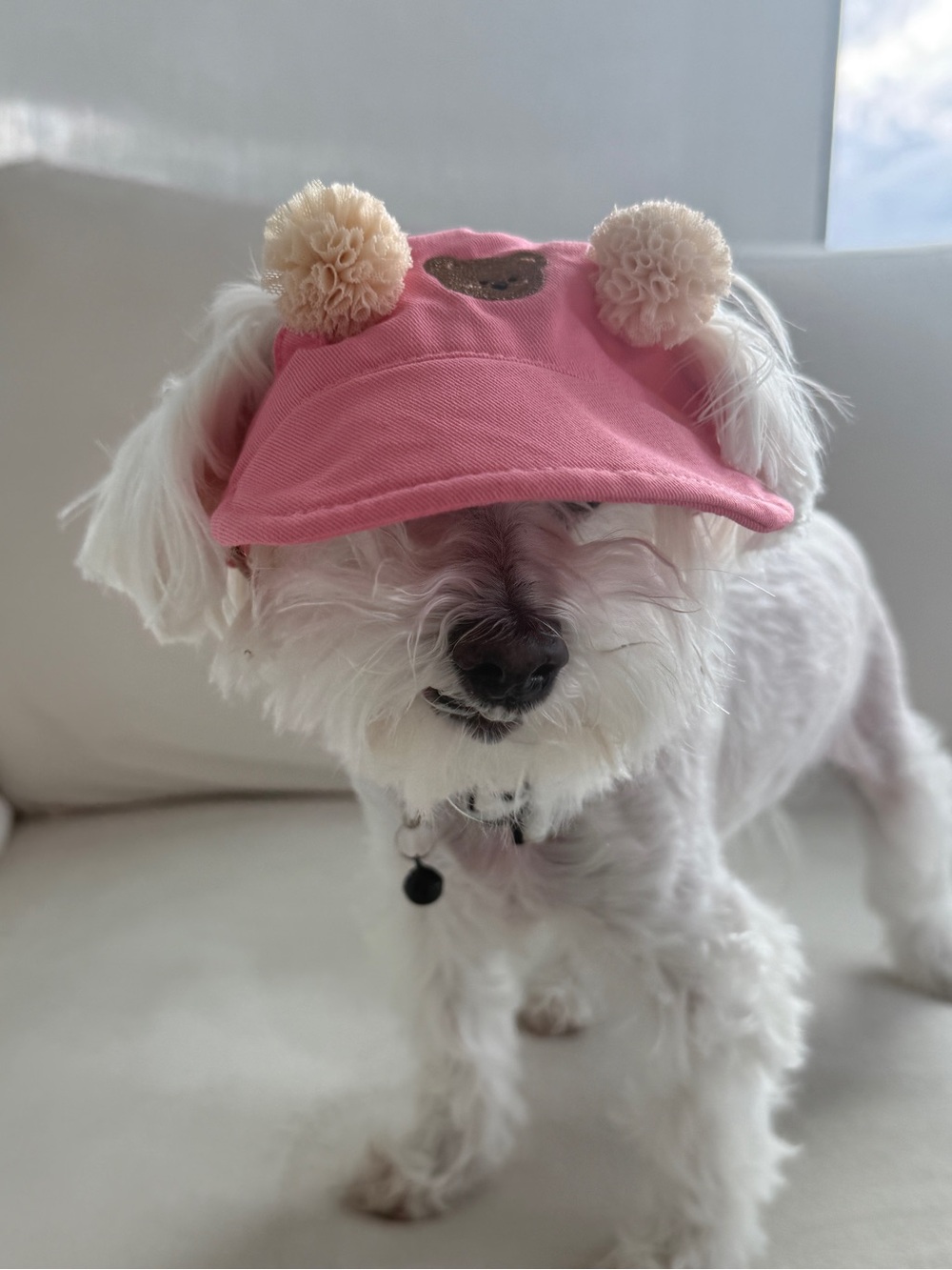 Pink Pom-Pom Dog Sun Visor Cap - Small